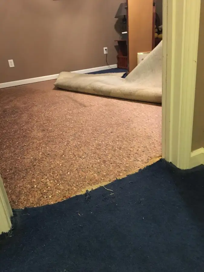 Carpet pad removal revealing water damage during Drying & Dehumidification in Munford