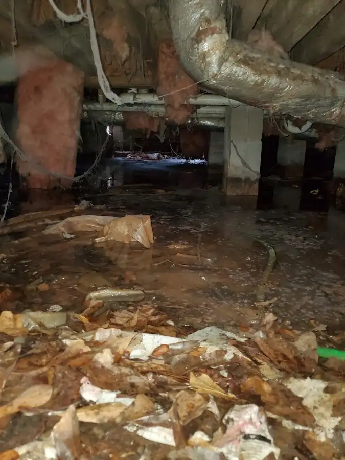 Crawl space flood assessment for Commercial Water Damage Restoration in Munford