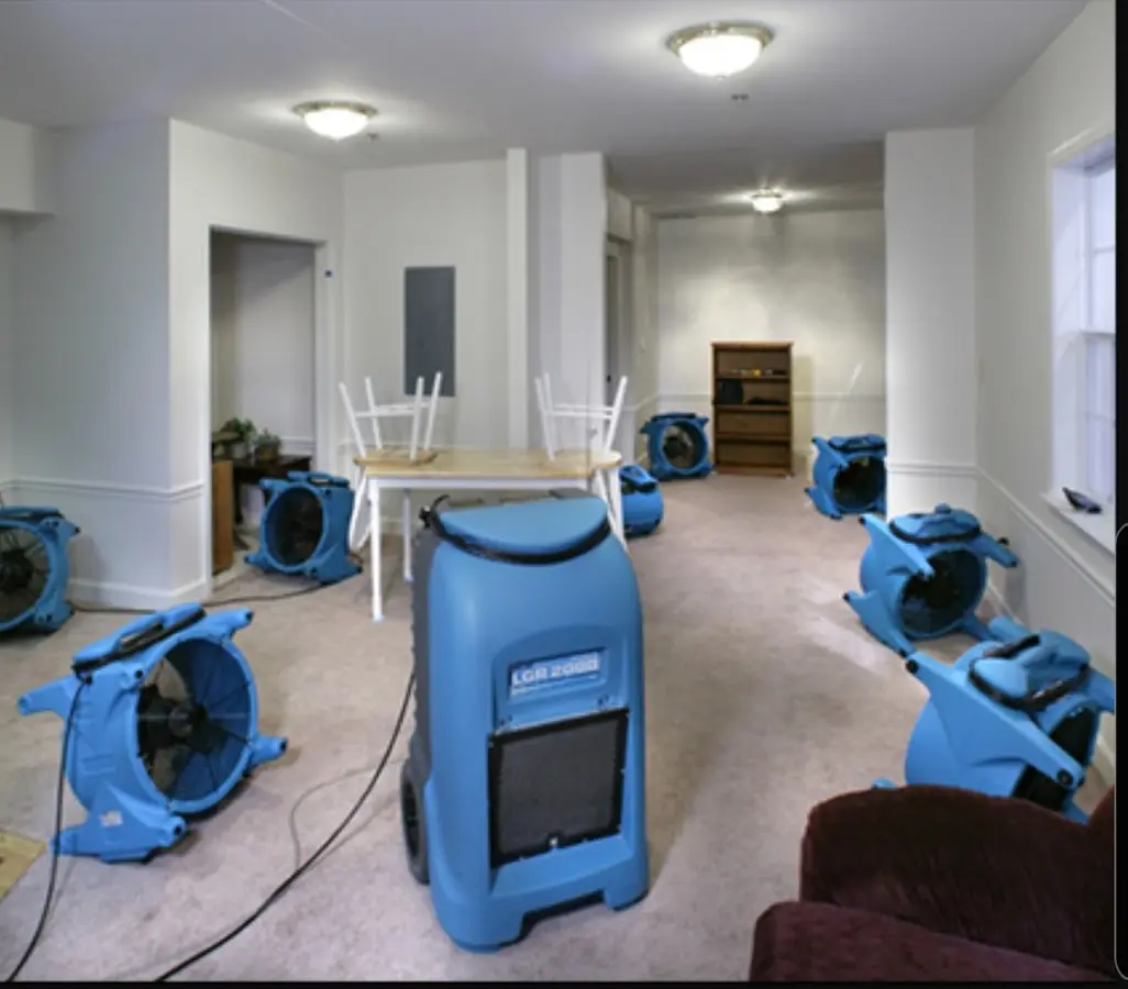 Air movers and dehumidifier setup for Water Extraction & Removal in Munford