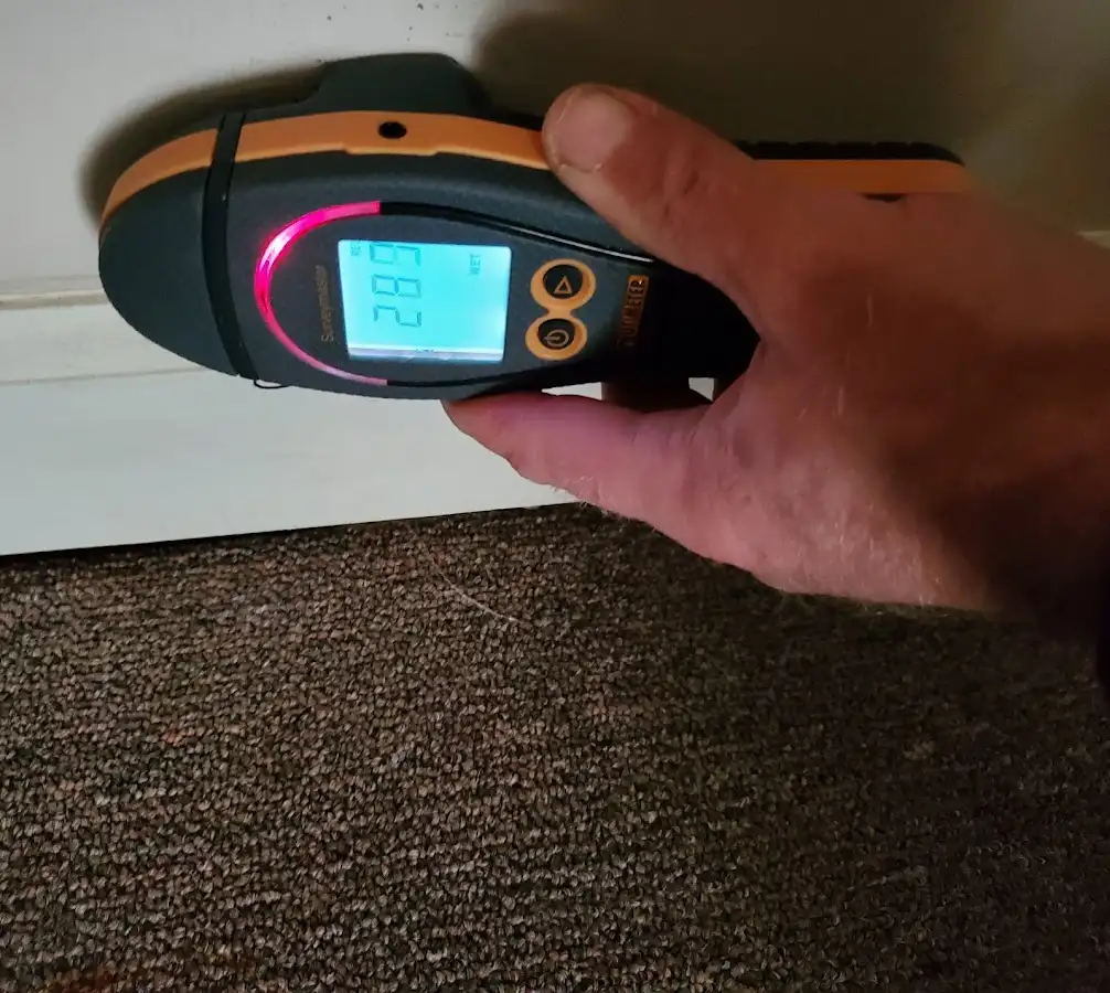Moisture detection at baseboard during Sewage Cleanup & Sanitation in Munford